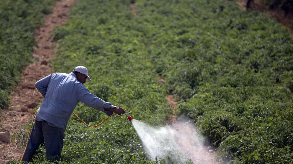 الإعلام الفلسطيني: إسرائيل وضعت إخطارات إخلاء على أراضي مواطنين غرب سلفيت بزعم أنها "أملاك دولة"