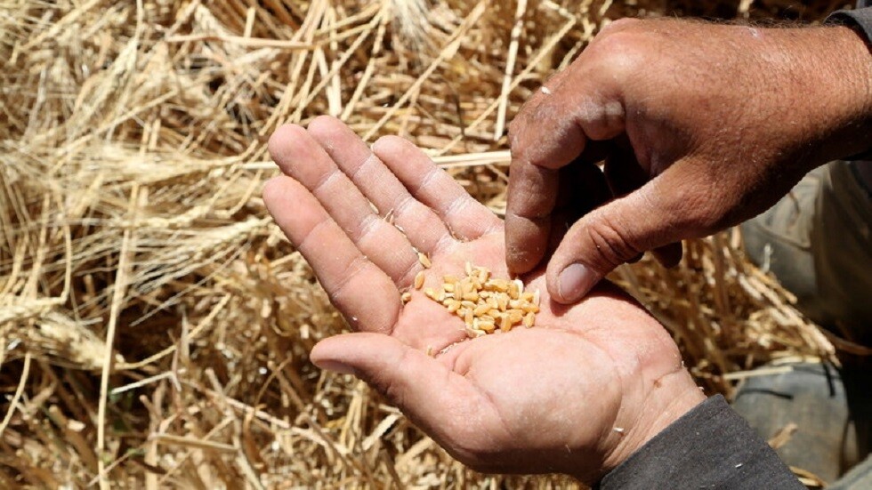 "سانا": القوات الأمريكية تدخل بذار قمح مشبوهة إلى الأراضي السورية