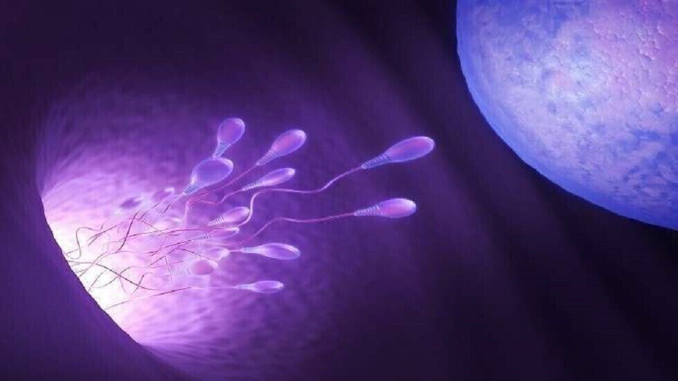 توابل تستخدم بكثرة في الهند وشمال إفريقيا والشرق الأوسط تحسن خصوبة الرجال