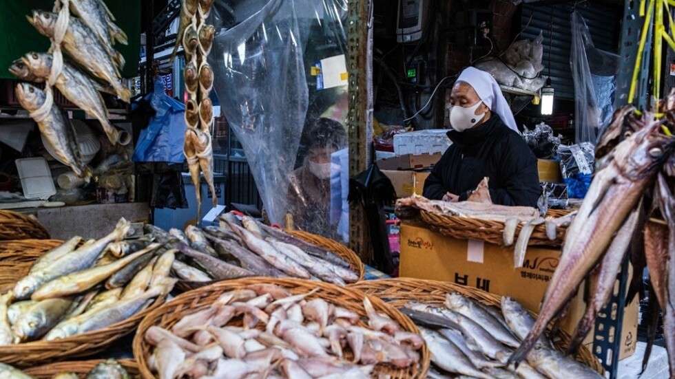 موقع مصري يكشف حقيقة أخطر سمكة في العالم (صورة)