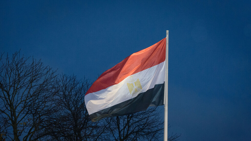مصر.. فصل نائب من مجلس الشيوخ بسبب سيدة