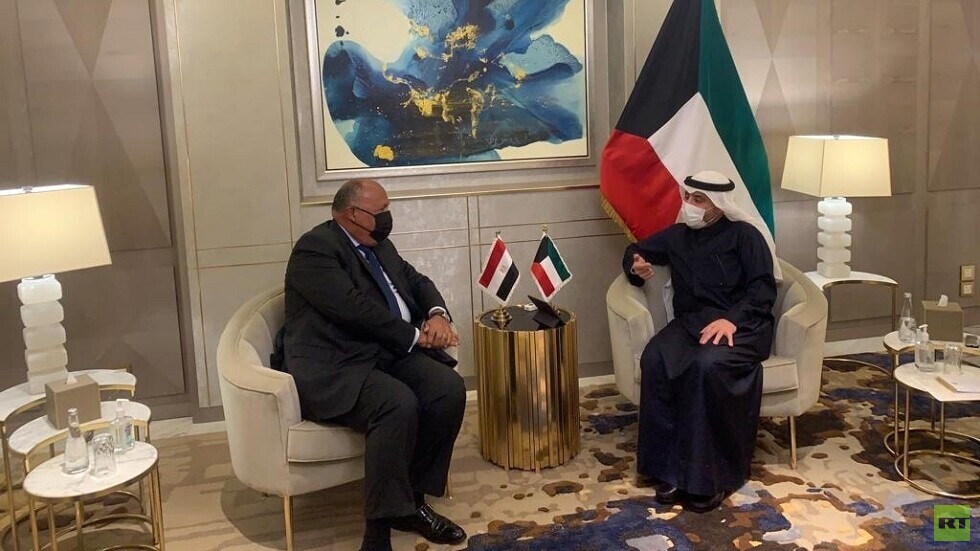 شكري: موقف القاهرة ثابت ويرفض أي تدخلات في شؤون الدول العربية