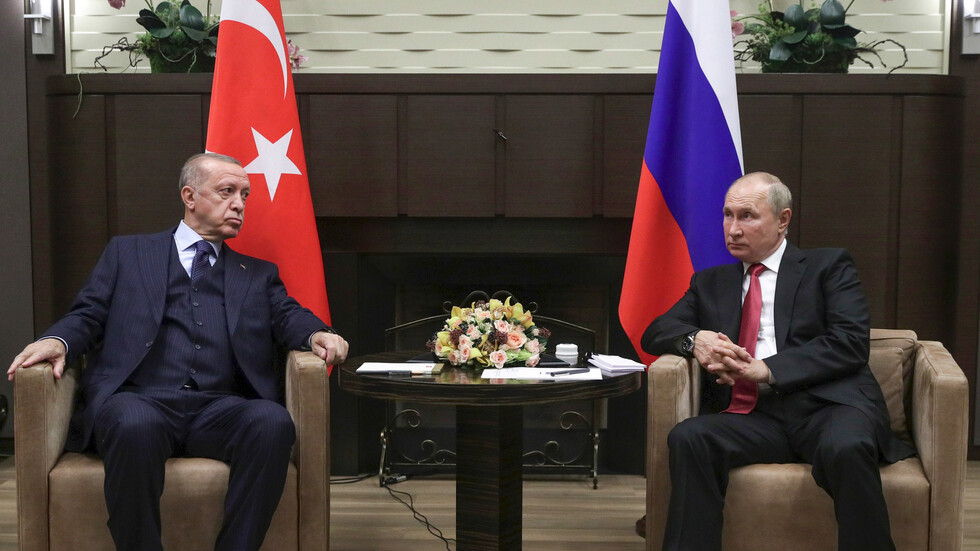 أنقرة: أردوغان أبلغ بوتين باستعداد زيلينسكي للقائه