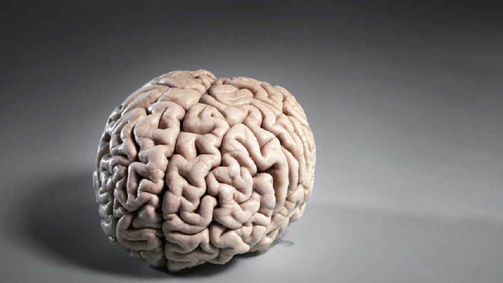 دراسة: مرض 