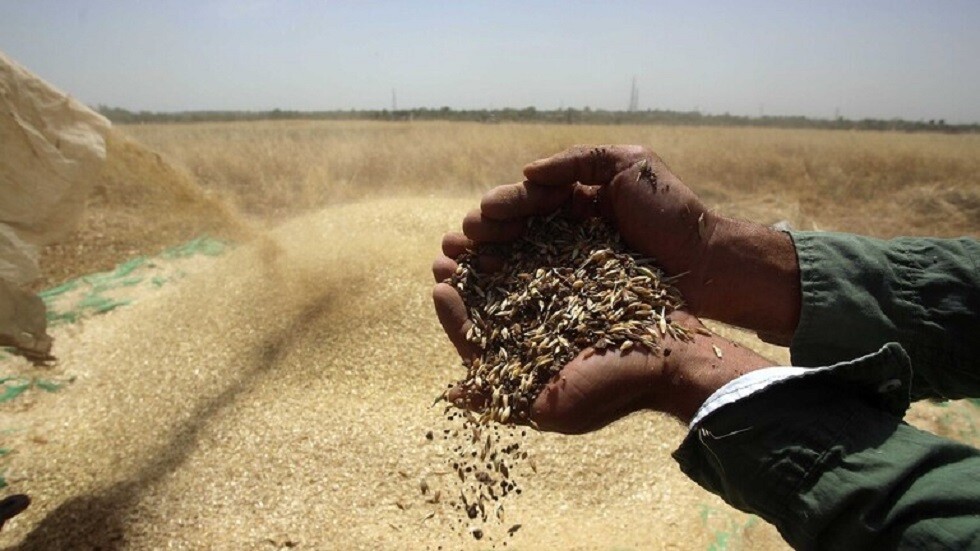 بتوجهات الرئيس السوري.. إجراءات جديدة بشأن القمح