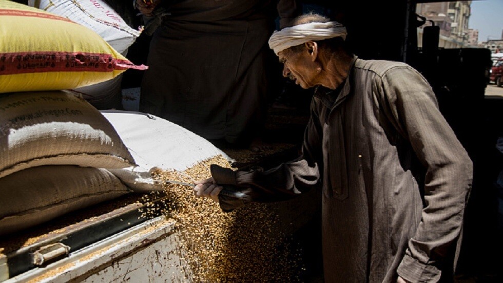 خبير يتحدث عن المصير المحتمل للخبز بعد أزمة القمح
