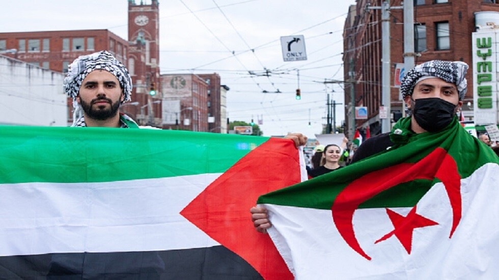 فيديو لافت لمدرب منتخب الجزائر مع لاعب فلسطيني