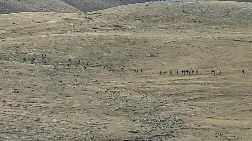 يريفان: القوات الأذرية استأنفت القصف والهجوم على الحدود