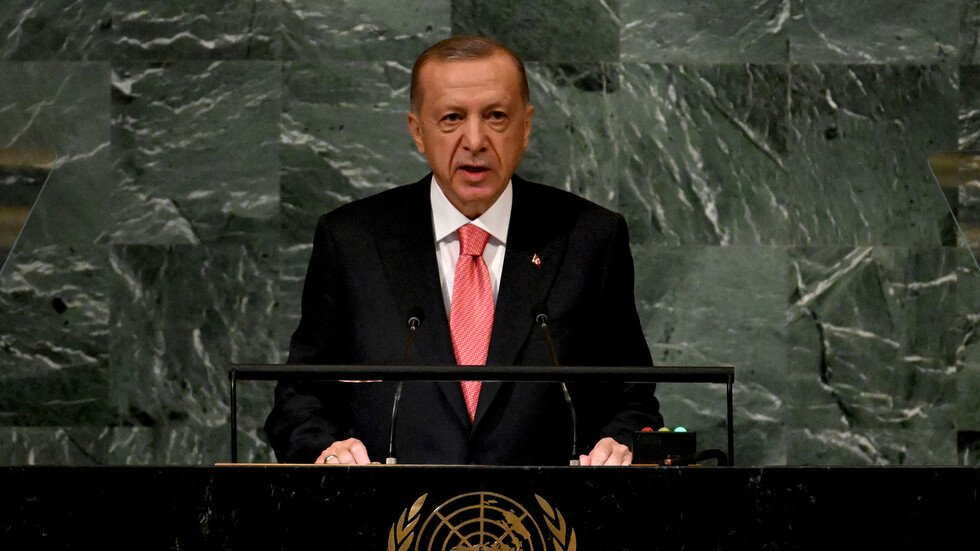 أردوغان يدعو لتسوية سلمية للنزاع في سوريا و"حل جذري" عبر قرار الأمم المتحدة