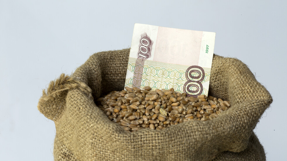 رجل أعمال: العراق يعتمد على حبوب الأعلاف الروسية بنسبة 50%