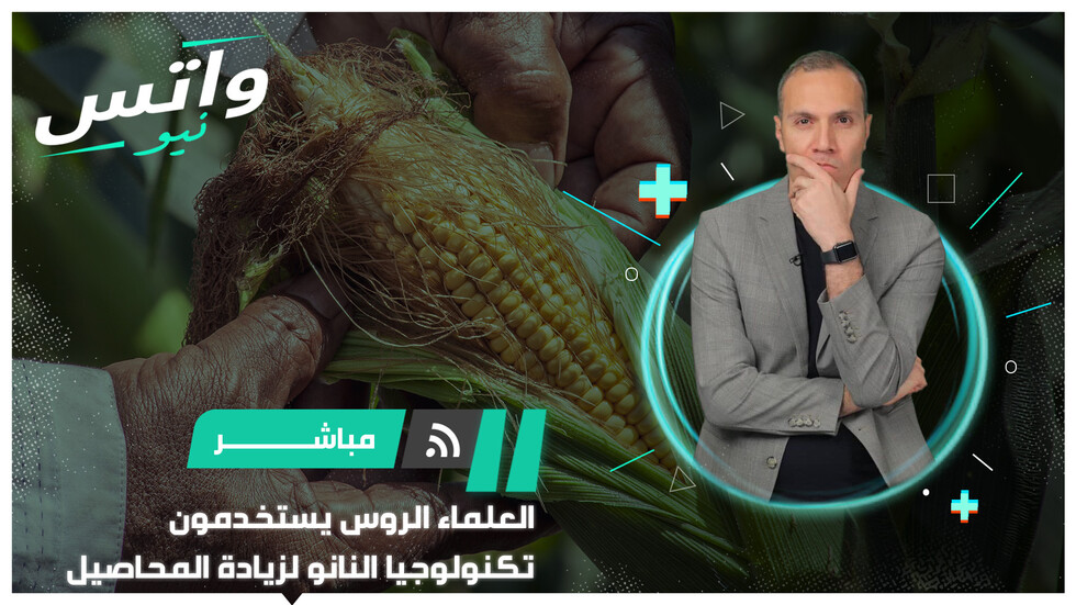 علماء روس يستخدمون تكنولوجيا النانو لزيادة محاصيل الحبوب