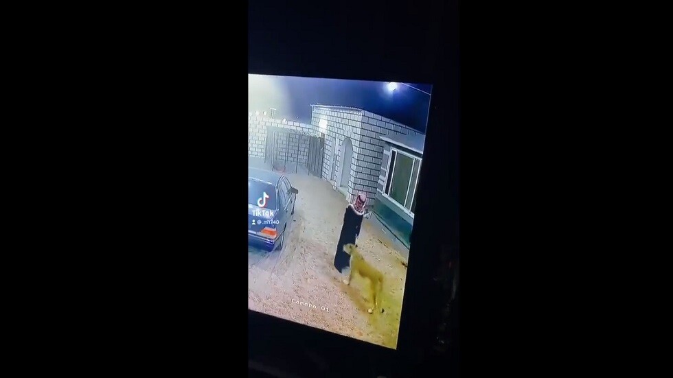 فيديو مرعب بنهاية غير متوقعة.. أسد يهاجم سعوديا بطريقة مفاجئة ويطرحه أرضا