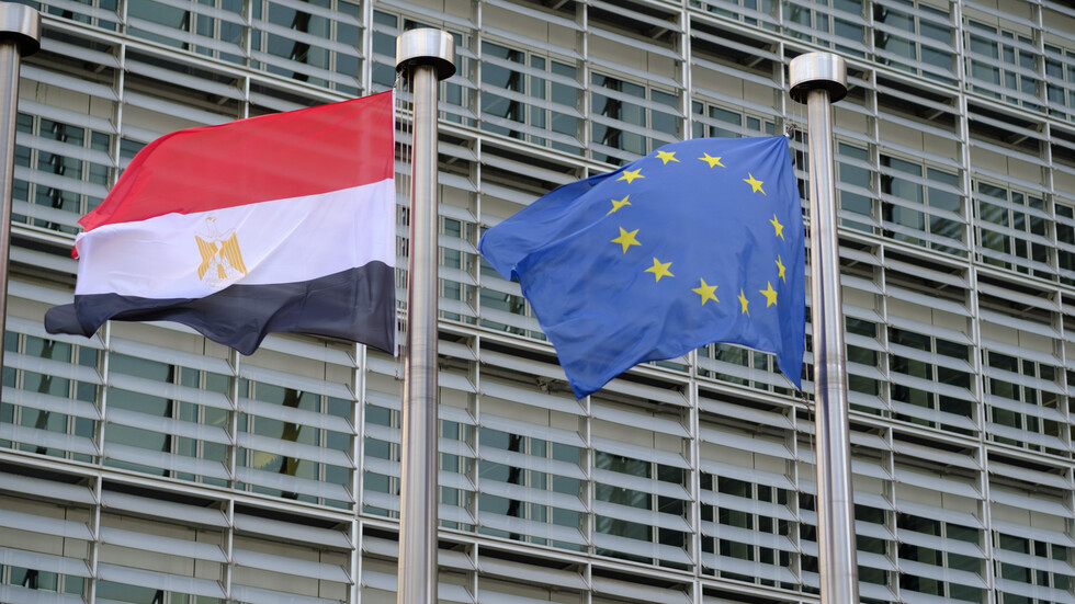عضو بمجلس الشيوخ المصري لـRT: بيان البرلمان الأوروبي  بخصوص مصر حافل بالأكاذيب والمغالطات