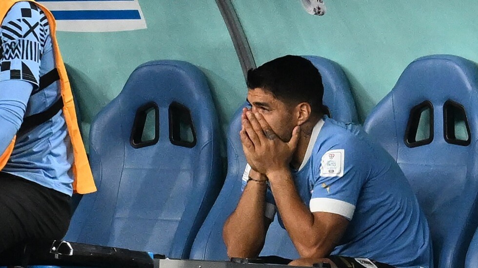 شاهد.. 