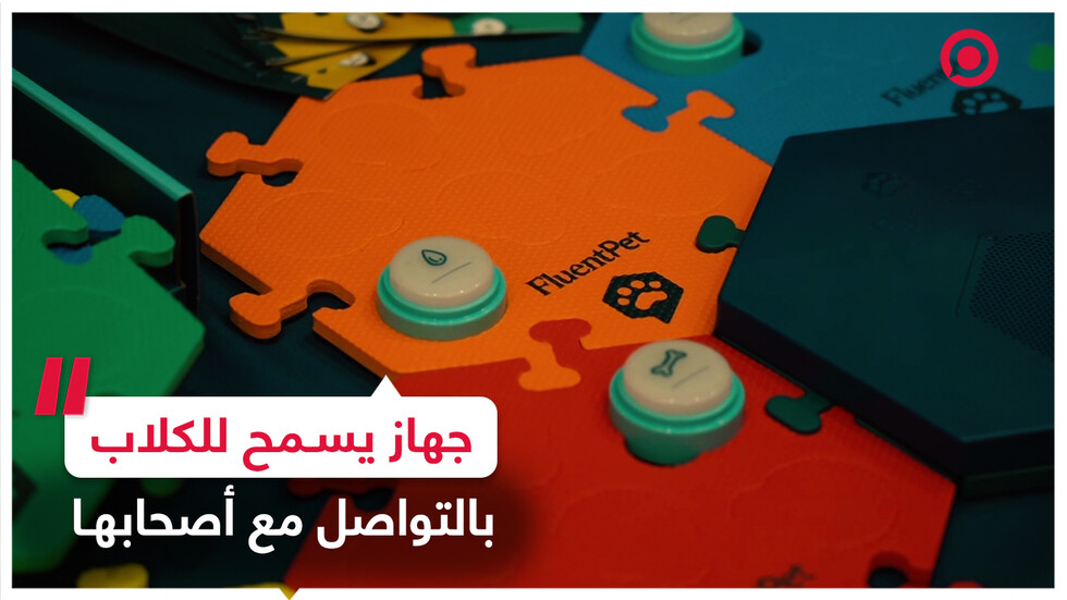 جهاز يسمح للكلاب بالتواصل مع أصحابها عبر الرسائل النصية