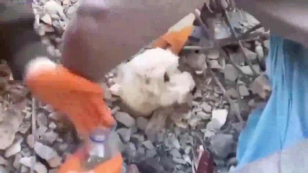 لحظات مؤثرة خلال محاولات إنقاذ كلب عالق بين ركام دمره الزلزال