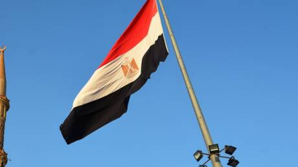 مصر.. حبس دكتورة جامعية 13 عاما عذبت نجلها وأجبرته على التسول