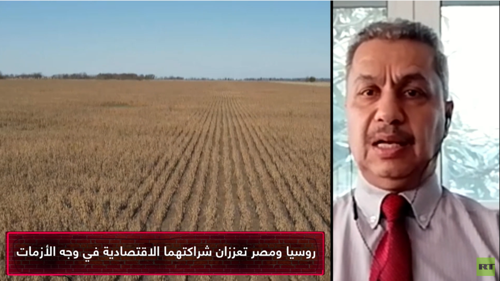روسيا ومصر تعززان شراكتهما الاقتصادية في وجه الأزمات