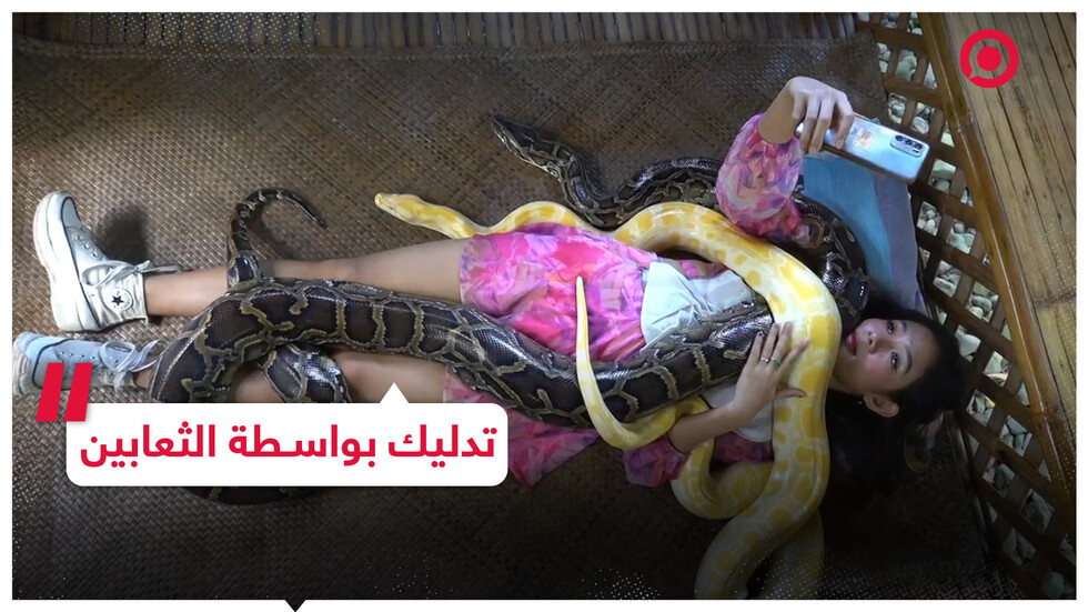 جلسة تدليك بالثعابين للتخلص من التوتر