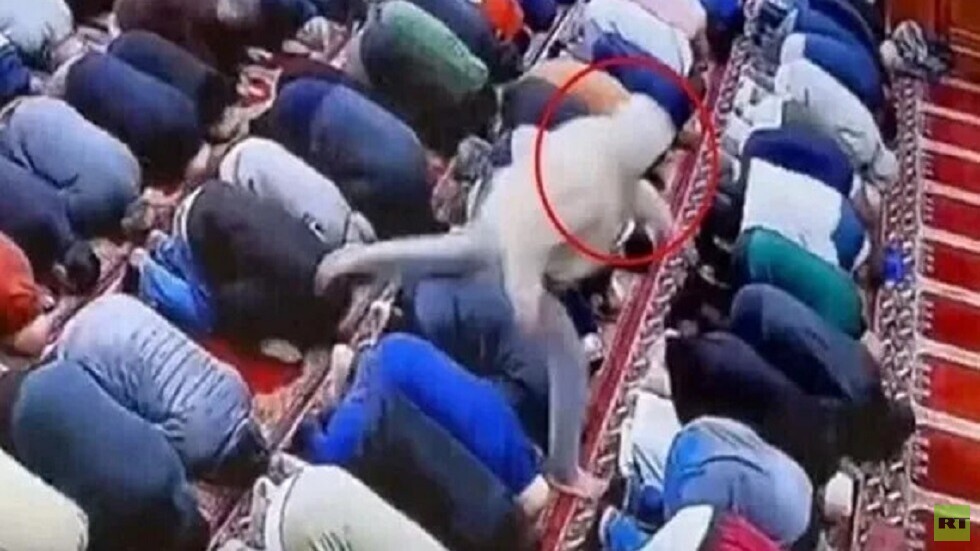 شقيق الإمام المصري السيد النقيب يكشف كواليس طعن أخيه بمسجد في نيوجيرسي