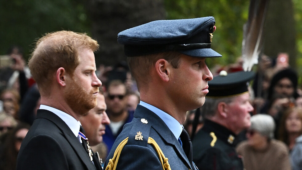 قائد سابق للجيش البريطاني يخرق البروتوكول ويكشف رأي الملكة إليزابيث في خدمة هاري وويليام بأفغانستان