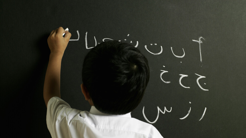 دراسة تكشف كيف تؤثر اللغة العربية على بناء شبكات الاتصال في أدمغة المتحدثين الأصليين بها