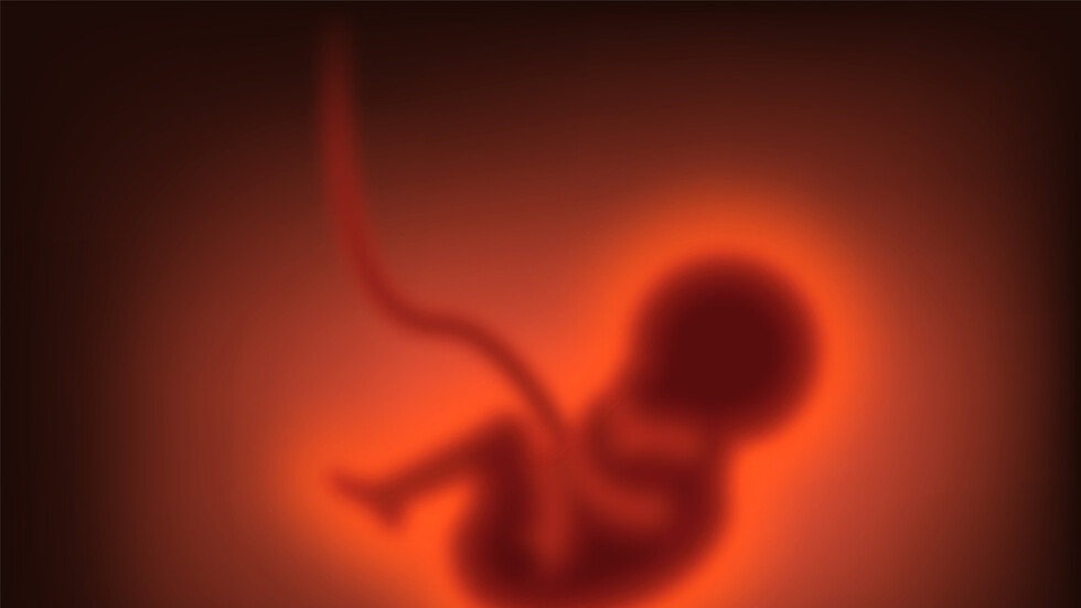 "إنجاز تاريخي".. إنشاء أجنة بشرية اصطناعية دون بويضة أو حيوانات منوية