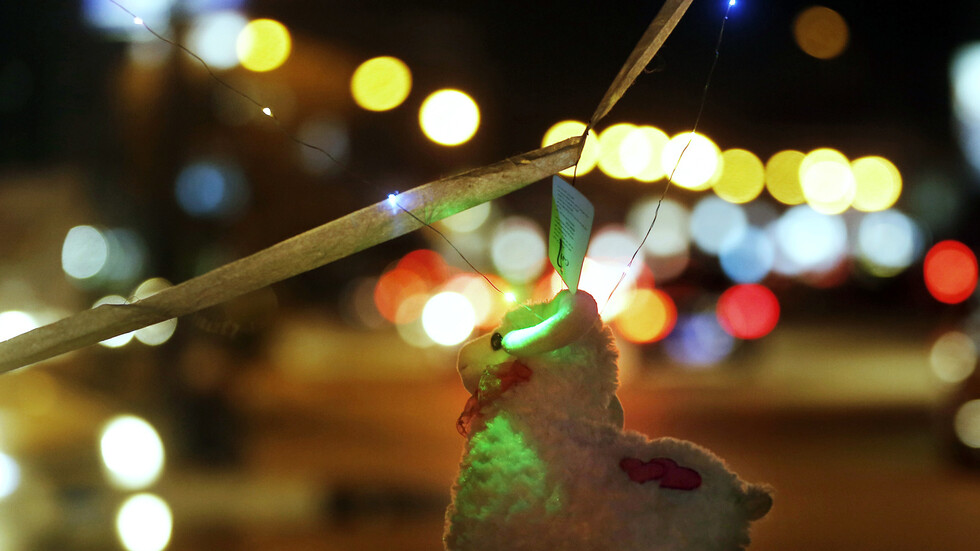 بمناسبة العيد.. قرار جديد من محافظة الجيزة بمصر يخص ذبح الأضاحي