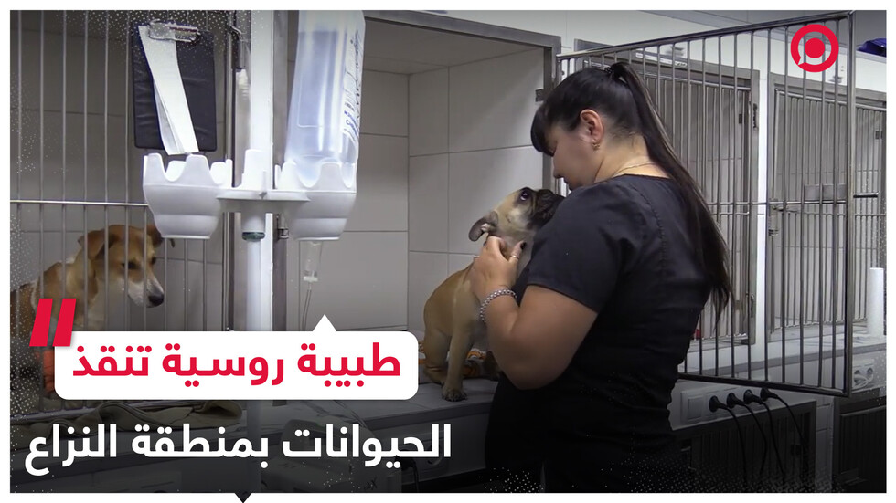  طبيبة بيطرية روسية تنقذ مئات الحيوانات