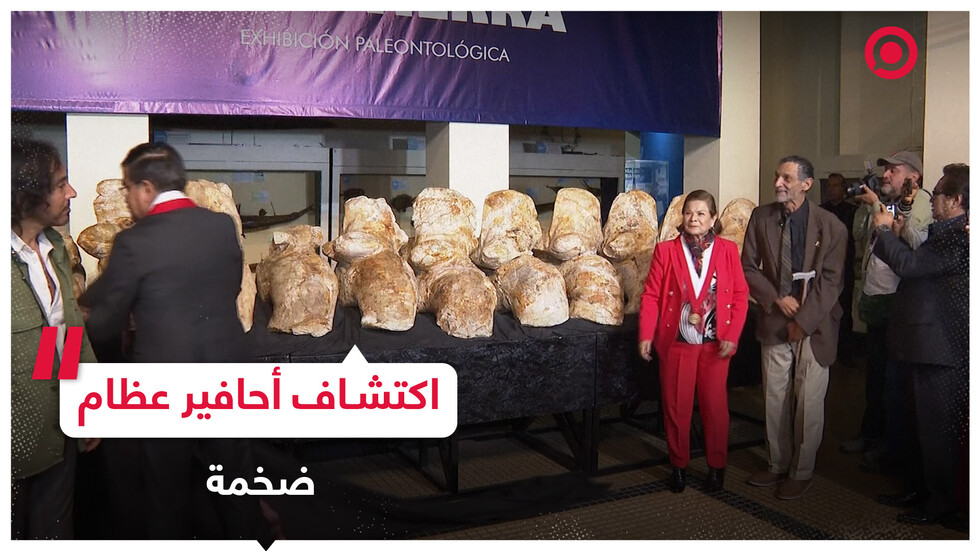 الكشف عن أحافير لكائن قد يكون أثقل حيوان عاش على الأرض