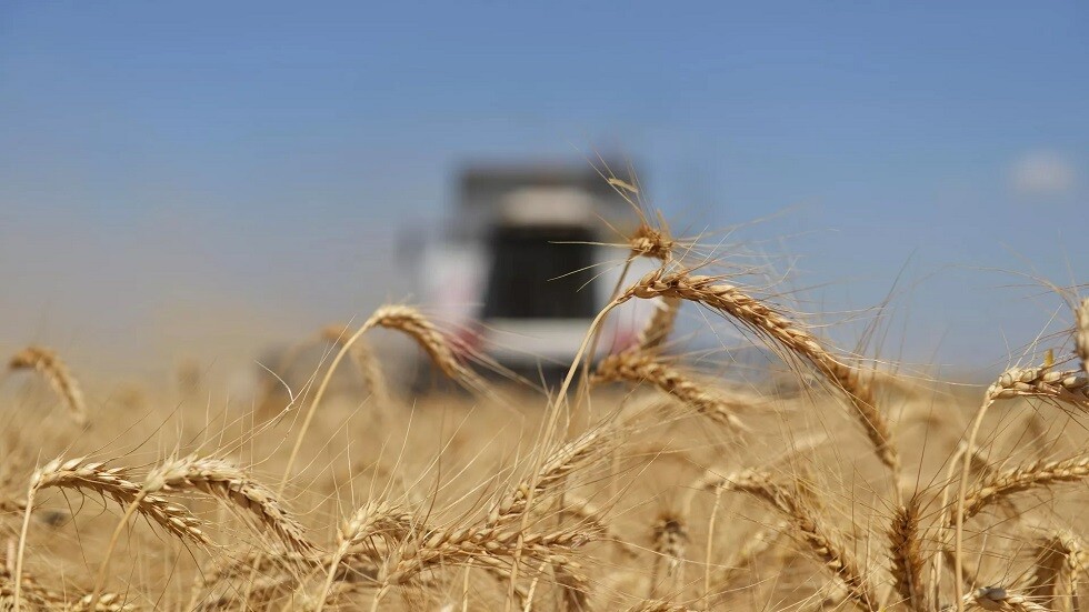أنطونوف: محاولات تحميل روسيا مسؤولية أزمة الغذاء جزء من حرب المعلومات