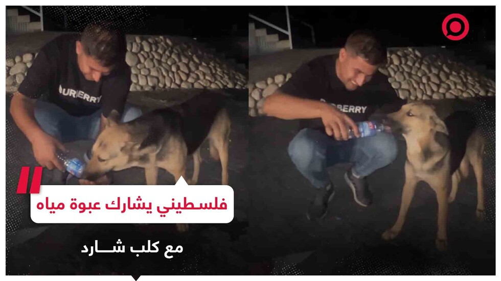رغم شح المياه.. فلسطيني يشارك عبوة مياه مع كلب شارد