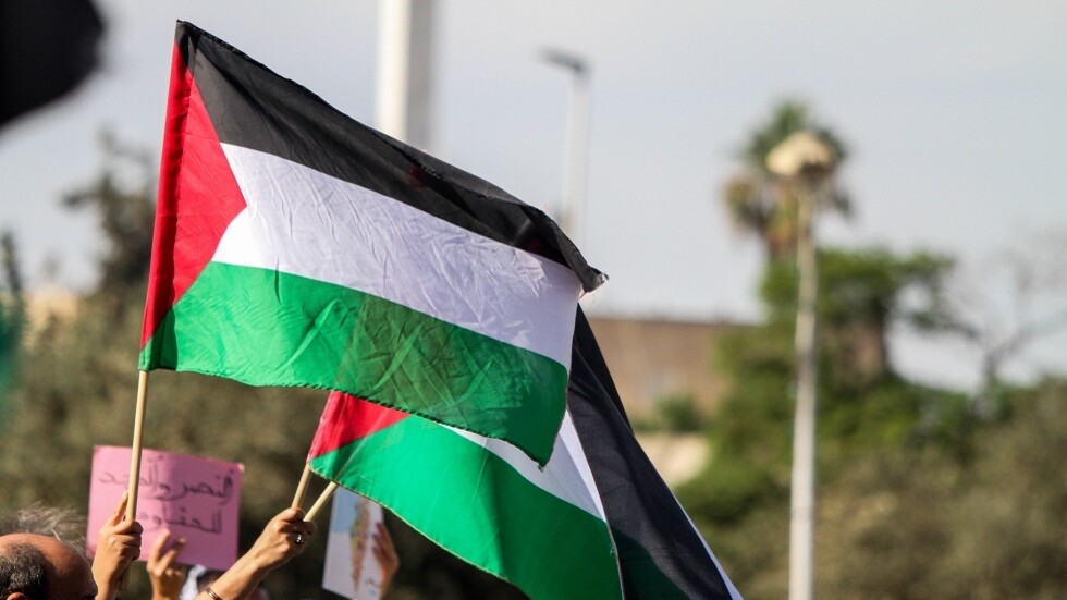 طوفان بشري في فنزويلا تضامنا مع فلسطين وقطاع غزة (فيديو)