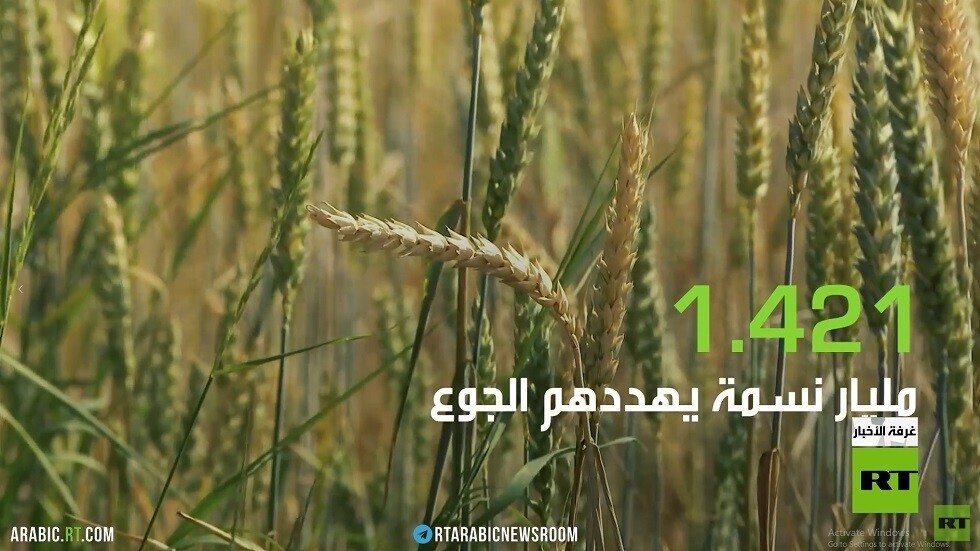 ملف الحبوب.. ورقة سياسية للضغط على روسيا