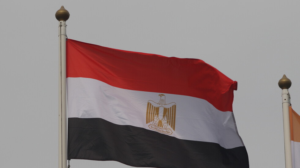 خبير مصري يعلق لـRT على زيارة وفد 