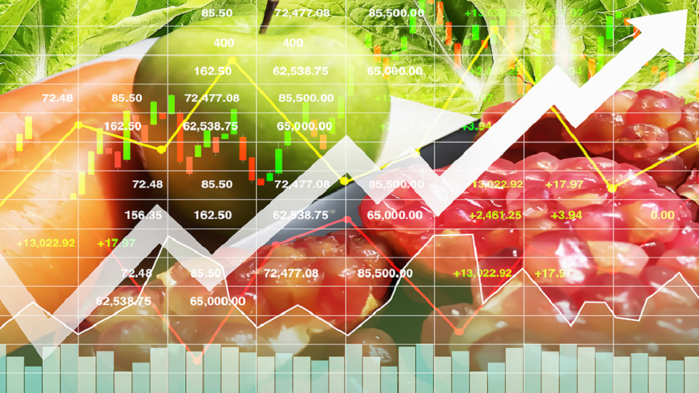 دراسة ألمانية تحذر من "كارثة عالمية" تؤدي لارتفاع أسعار المواد الغذائية