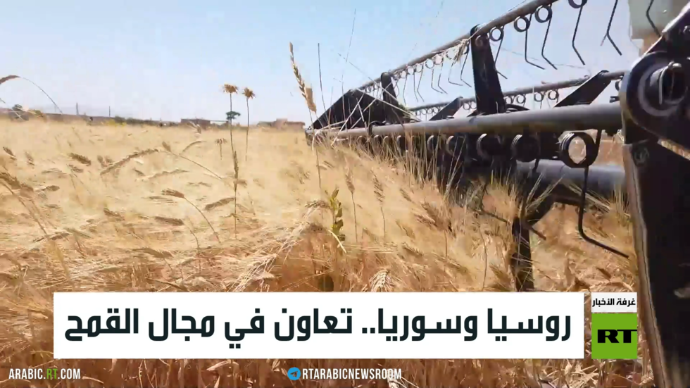 روسيا وسوريا.. تعاون في مجال القمح