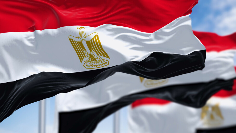 مصر.. القبض على أحمد الطنطاوي لتنفيذ حبسه سنة بقضية "التوكيلات الشعبية"