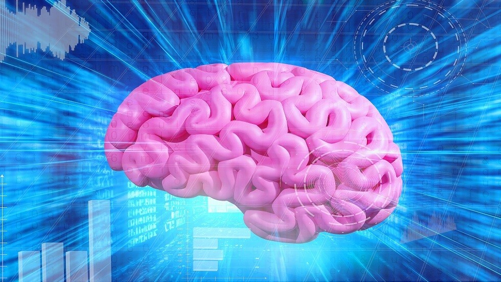 مادة غذائية تعزز صحة الدماغ والعين