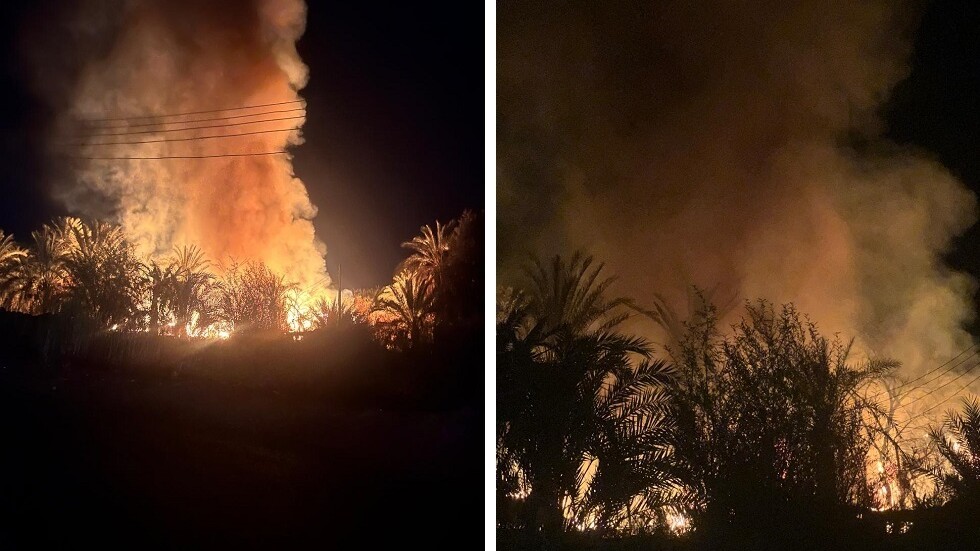 مصر.. حريق هائل يلتهم مزارع نخيل في الوادي الجديد (صور + فيديو)