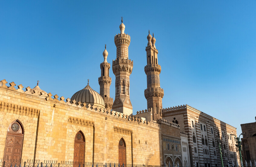داعية مصري يصدر بيانا هاما بشأن حديثه المثير للجدل حول تربية القطط