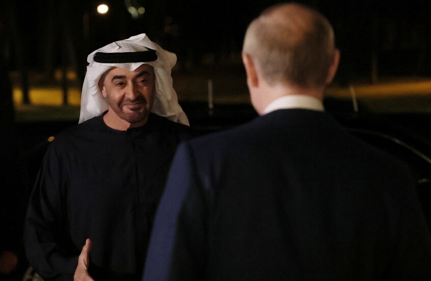 الرئيس الإماراتي لبوتين: عازمون على تطوير العلاقات الثنائية بين بلدينا