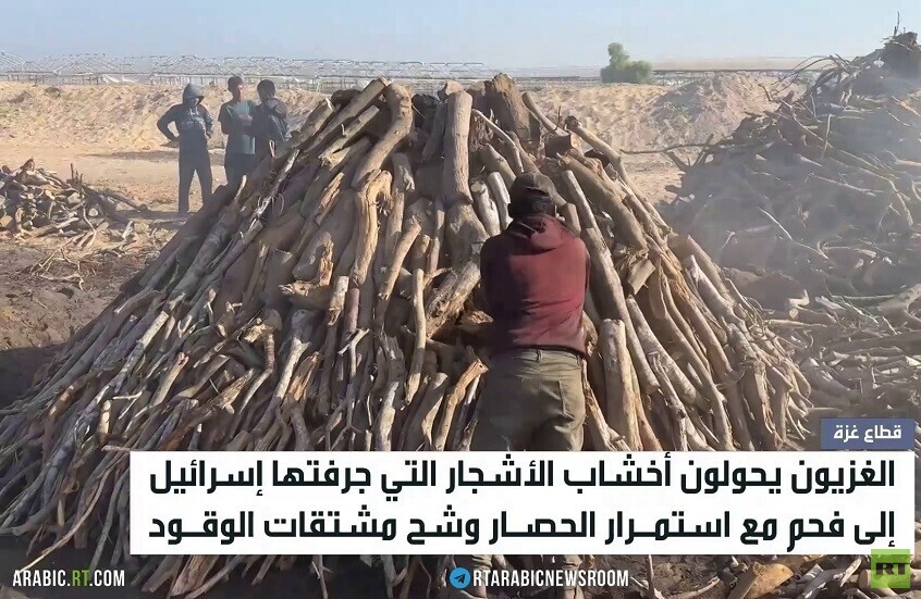 الغزيون يلجؤون للفحم في ظل أزمة الوقود