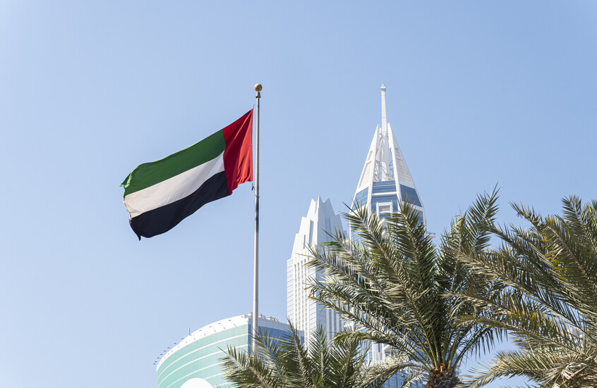 الخارجية الإماراتية: نتابع عن كثب قضية اختفاء المواطن المولدوفي
