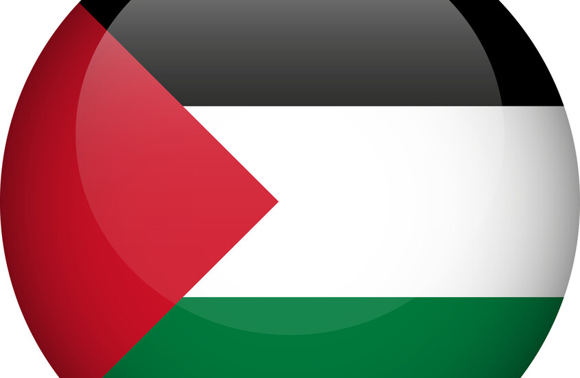 راكب يهودي يهاجم مضيفة طيران لارتدائها دبوسا تضامنا مع الفلسطينيين (فيديو)