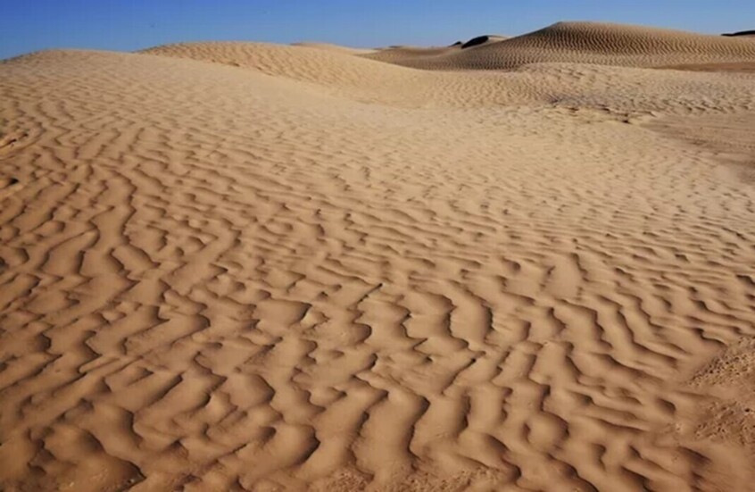 اختفاء أربعة من سائقي الشاحنات المغاربة على حدود النيجر وبوركينا فاسو