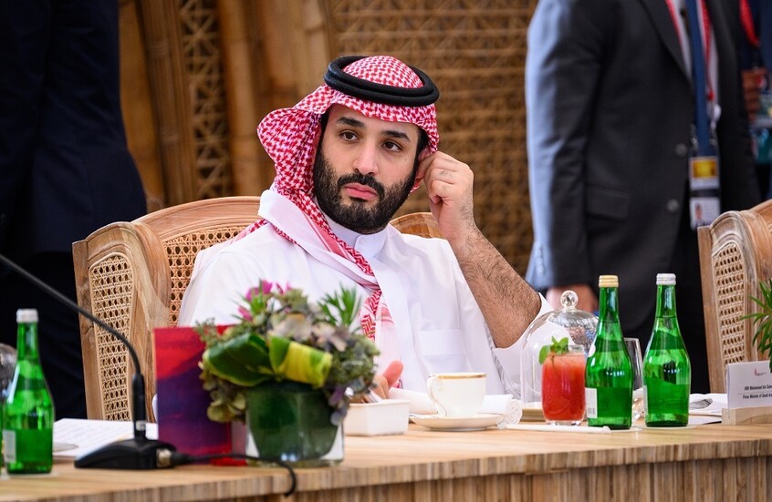 كاتبة فرنسية: الأمير محمد بن سلمان هو الشخص الوحيد القادر على حل الأزمة الفلسطينية