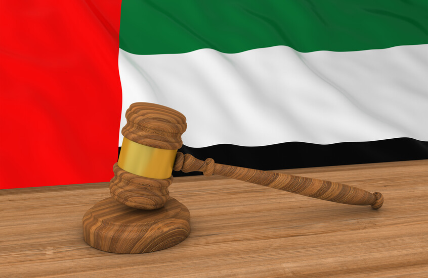 "ارتكبوا جرائم من شأنها المساس بأمن الدولة".. قرار قضائي جديد بحق أعضاء "عصابة بهلول" في الإمارات