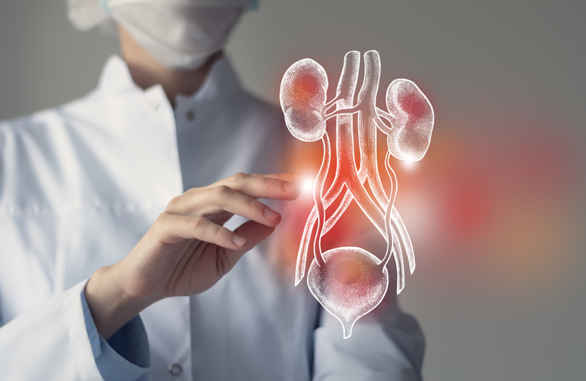 "لحظة فارقة في تاريخ الطب".. نجاح أول عملية زرع مثانة في العالم