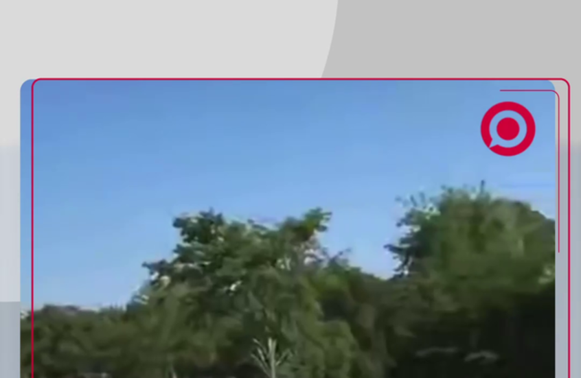مظاهرات ألمانية نصرة لفلسطين وأهل غزة